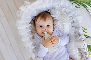 a small baby girl lies in a beautiful cradle in a white bodysuit at home and holds a bottle of milk...
