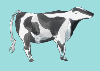 乳牛/Dairy cow