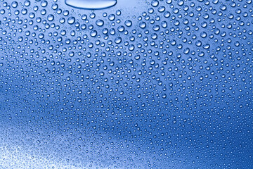 Aqua