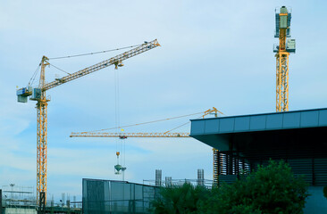 Cranes working on the construction site in the late afternoon