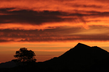 Amanecer con nubes altas iluminadas por el sol