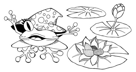 Isolated frog in a big hat, water lily. Black outline. Hand drawing coloring book for children and adults. Beautiful drawings with small details. Design for cards, flyers, brochures. Vector