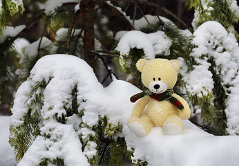 Toy bear with a scarf around his neck sitting in a snowdrift in a snow-covered forest.