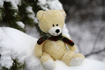 Toy bear with a scarf around his neck sitting in a snowdrift in a snow-covered forest.