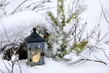  Lantern with a candle hanging on a tree in the winter forest.