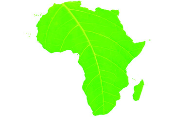 Map of Africa in green leaf texture on a white isolated background. Ecology, climate concept. Vector