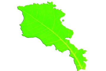 Map of Armenia in green leaf texture on a white isolated background. Ecology, climate concept. Vector illustration.