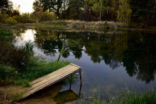 a bridge made of boards on the bank of an overgrown pond © Алексей Громов