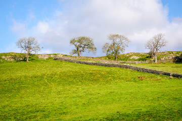 Obraz premium View across open farmland near Ings in the Lake Distict UK