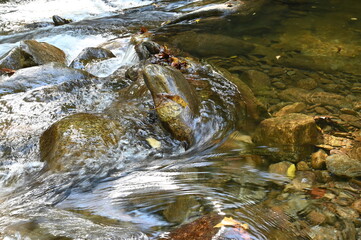stream in the fall