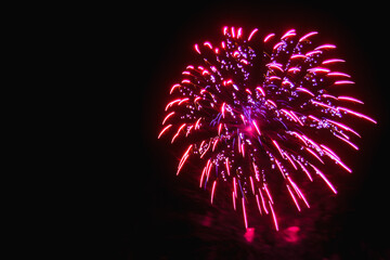 fireworks glow and turquoise lilacs in the night sky.