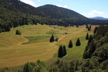 Summer view of the Herbouilly plain from the D221 departmental road (Vercors, Drôme, France)