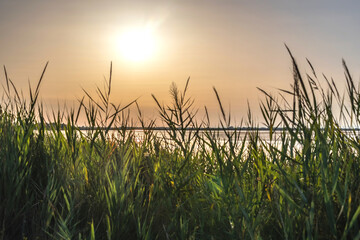 Fototapeta premium Coucher de soleil en Camargue