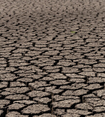 Earth cracked because of drought. The global shortage of water on the planet. Global warming concept. Dry cracks in the land.