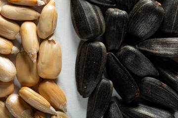 Sunflower seeds on a white background, unpeeled and peeled. Without a shell. Macro.