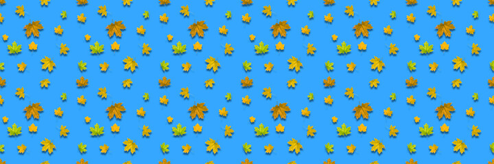 Banner with multicolored maple leaves on a blue background.