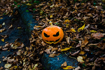 
In the center of the photo is an orange pumpkin. Celebrate Halloween. Scary pumpkin.