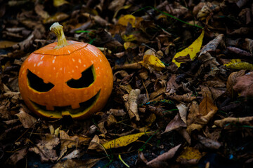 
In a blurred background is the Halloween Pumpkin. Halloween holiday