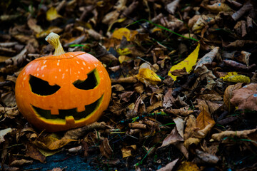 
Smiling scary pumpkin in the left corner. Celebration chelovin. The background is blurred.