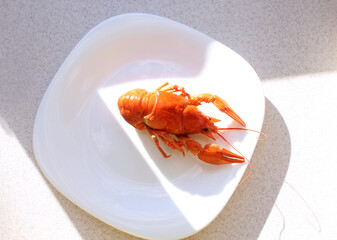 White plate with red cancer is on the kitchen table, top view, close-up