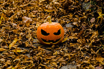 
Halloween pumpkin on a background of leaves for a holiday. The back pln is blurred.