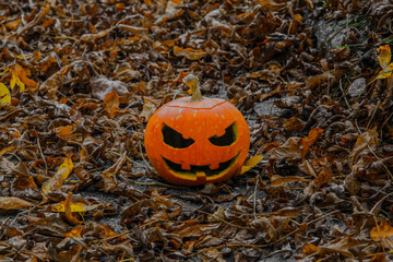
Very scary pumpkin for the holiday Halloween on a background of leaves. the background is blurred.
