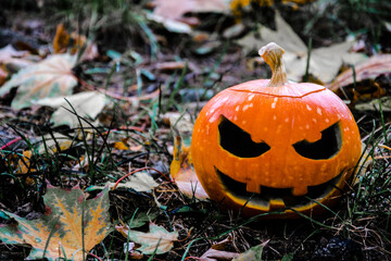 
Scary pumpkin for the Halloween holiday. the background is blurred.