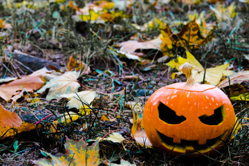 
Pumpkin in the foreground. Halloween holiday. The background is blurred.