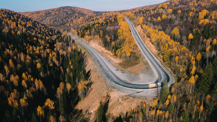 Beautiful road in the autumn forest