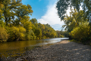 The Ni&scaron;ava river and forest in early autumn
