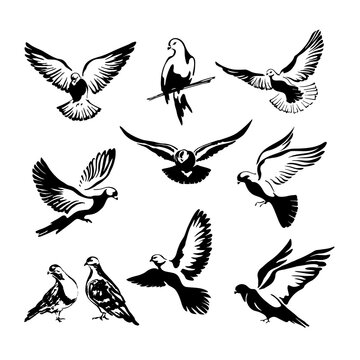 A set of ten doves are flying. Logo template or icon isolated symbol of freedom of the world or postal delivery and tattoo. Vector illustration