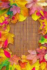 autumn background with colored leaves on wooden board	