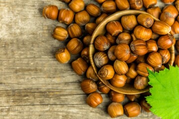 hazelnuts on wooden table, top view. Food background. Heap of many whole ripe brown hazel nuts. Vegan food.