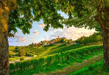 Neive village and Langhe vineyards, Piedmont, Italy Europe. - 383932110