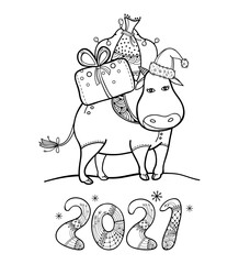 Greeting with outline cute bull with Christmas gift and numbers 2021 in black isolated on white background.