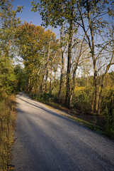 Fototapeta premium Rails to trails corridor on a sunny late afternoon autumn day. Rails to trails are used to preserve unused rail corridors by transforming them into rail trails within the United States of America.