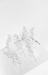 Stylish winter geometric scene white cube and trees. Minimal still life concept art. Winter cold aesthetic