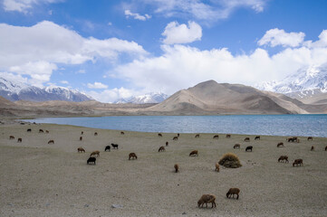 View of the karakoram mountain range from the Karakul lake, Xinjiang Province, China