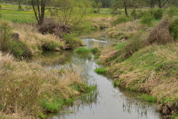 A small winding river among the trees on a cloudy day, a swimming duck.