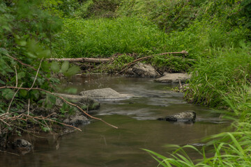 Zborovsky creek flowing to influence with Malse river in autumn day