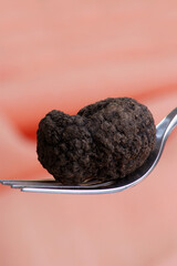 one organic summer truffle on a fork