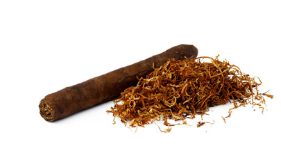 Cigar and bunch of dry tobacco leaves isolated on white