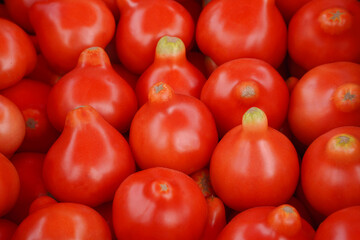 red tomatoes in the market
