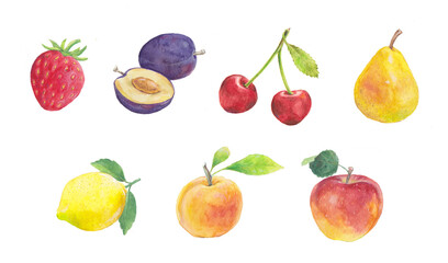 Watercolor fruit