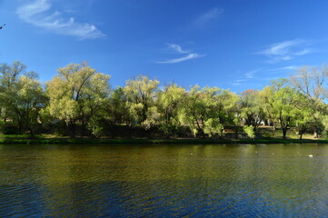 Fototapeta na wymiar Ribera del río con árboles y cielo azul