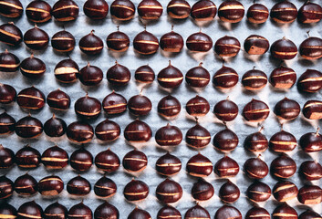 Fresh chestnuts aligned one by one on a baking tray parchment paper.