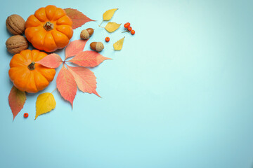 Flat lay composition with pumpkins and autumn leaves on light blue background, space for text....