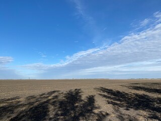 field and sky