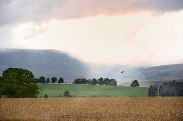 Fototapeta premium SHAFTS OF SUNLIGHT break through thick morning cloud to illuminate farmlands in the Drakensberg foothills, Himeville, Kwazulu Natal, South Africa