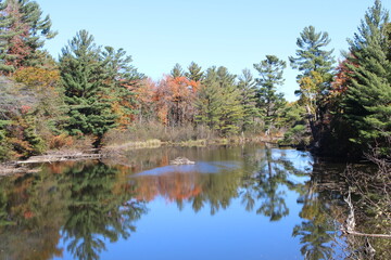 autumn trees reflected in water